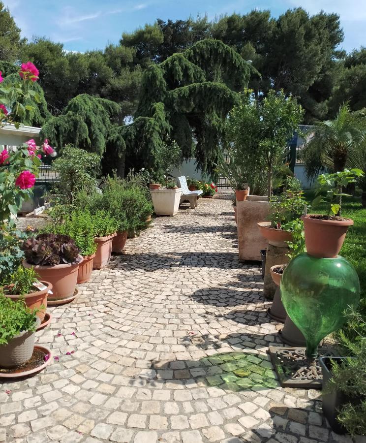 מלנדוניו B & B Paradise מראה חיצוני תמונה