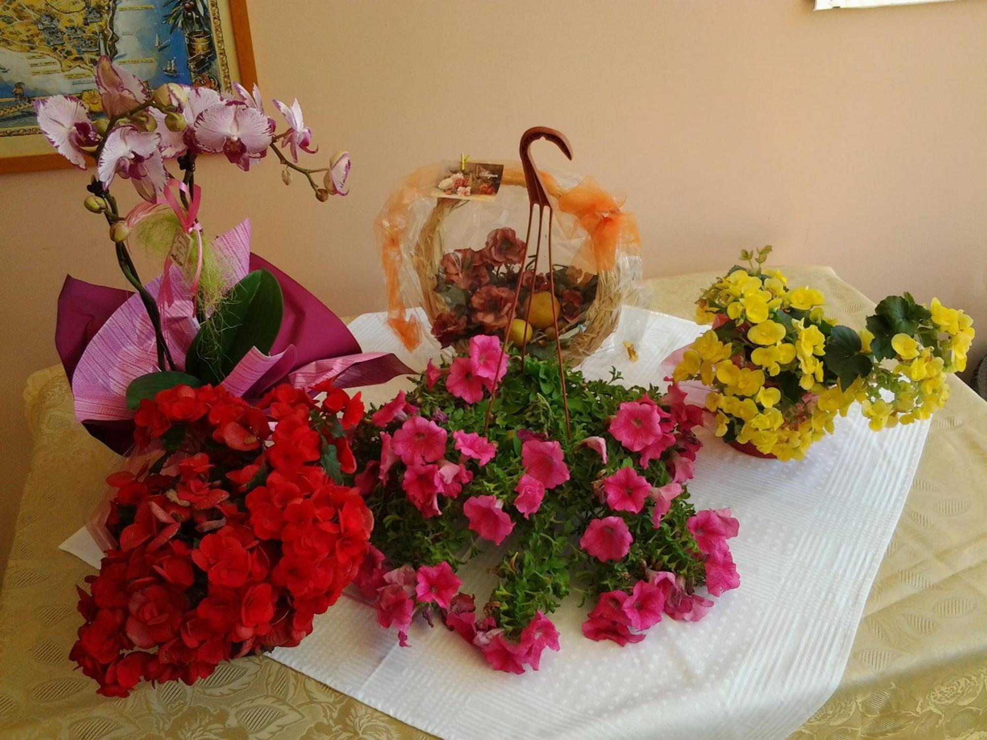 מלנדוניו B & B Paradise מראה חיצוני תמונה